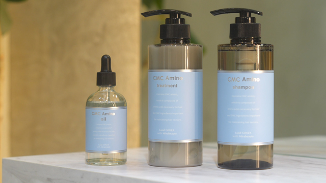 ポー全集(1902年 ヴァージニア 限定版) 17巻フルセット ポー全集(1902年 ヴァージニア 限定版) 17巻フルセット