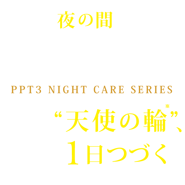 夜の間にPPT３※1＆ネムリペア※2成分が髪に集中浸透！  翌朝