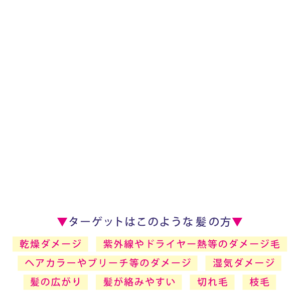 □ 寝ている間も摩擦ダメージからバリア　
□ 寝ぐせが付きにくい　
□ 髪の内部まで集中リペア＆濃密保湿　
□ サラサラまとまる、そして輝くツヤ　
□ 乾燥・静電気ガード　
□ 湿気ガード　
ターゲットはこのような方：乾燥ダメージ、紫外線やドライヤー熱等のダメージ毛、
ヘアカラーやブリーチ等のダメージ、湿気ダメージ、
髪の広がり、髪が絡みやすい、切れ毛、枝毛